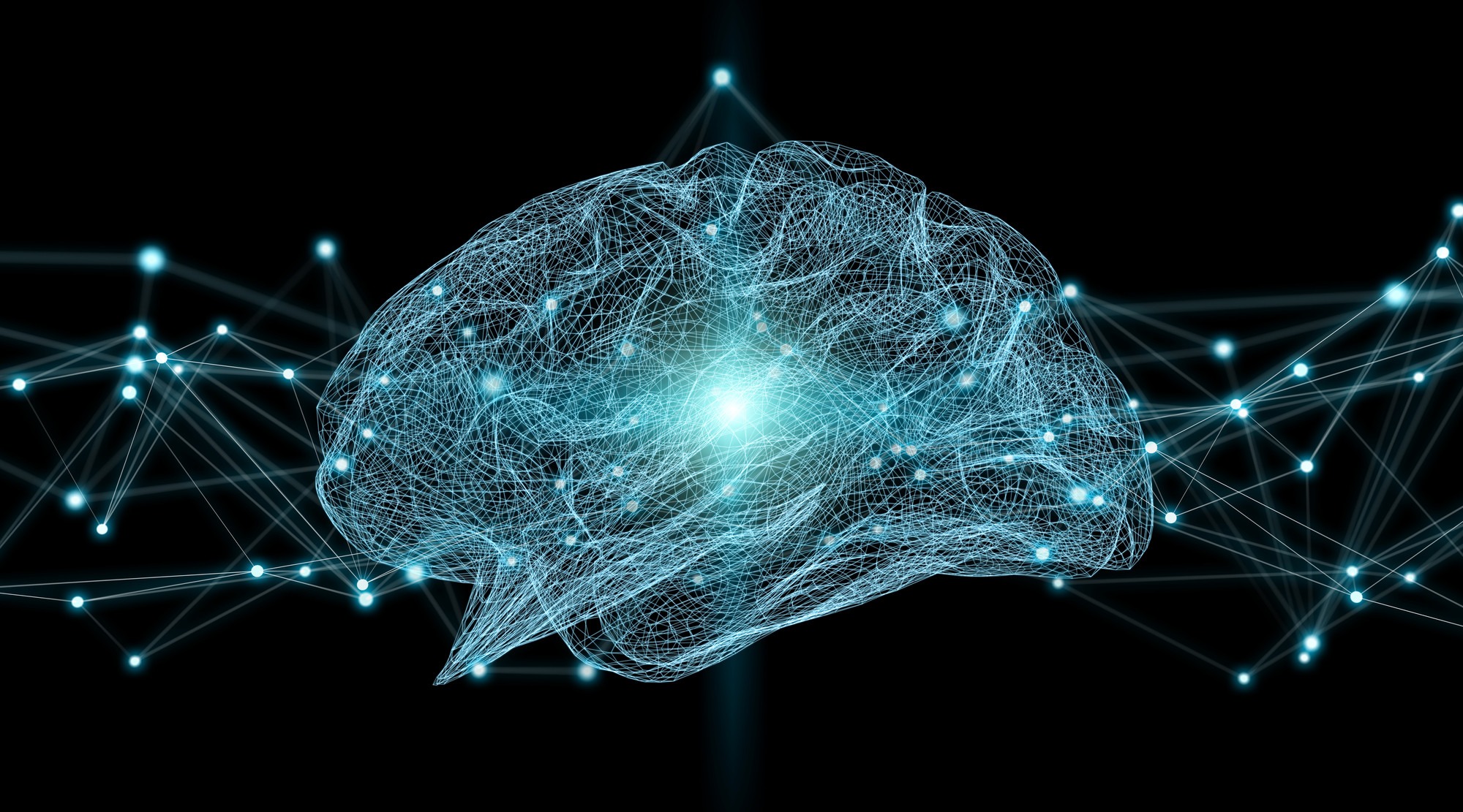 cerveau